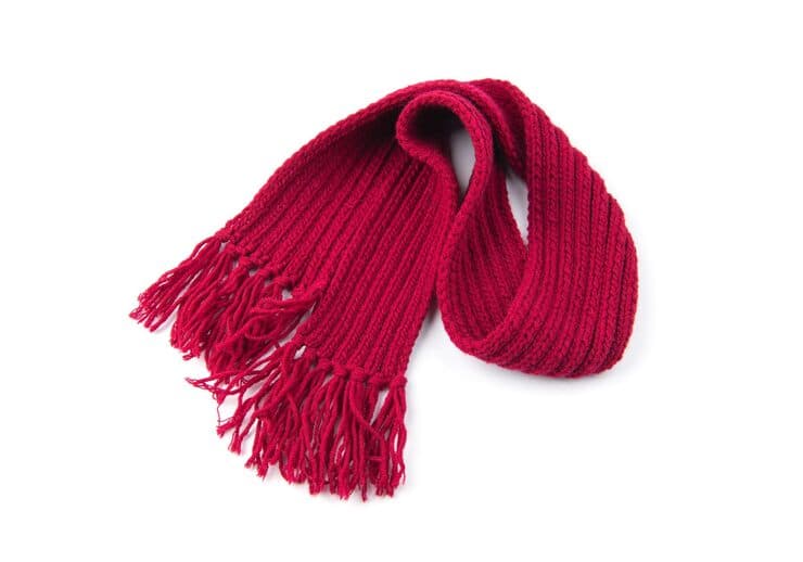 Écharpe en Soie Imprimée